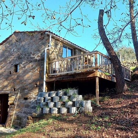 Cabana Do Carvalhal Apartamento Pedrógão Pequeno Exterior foto